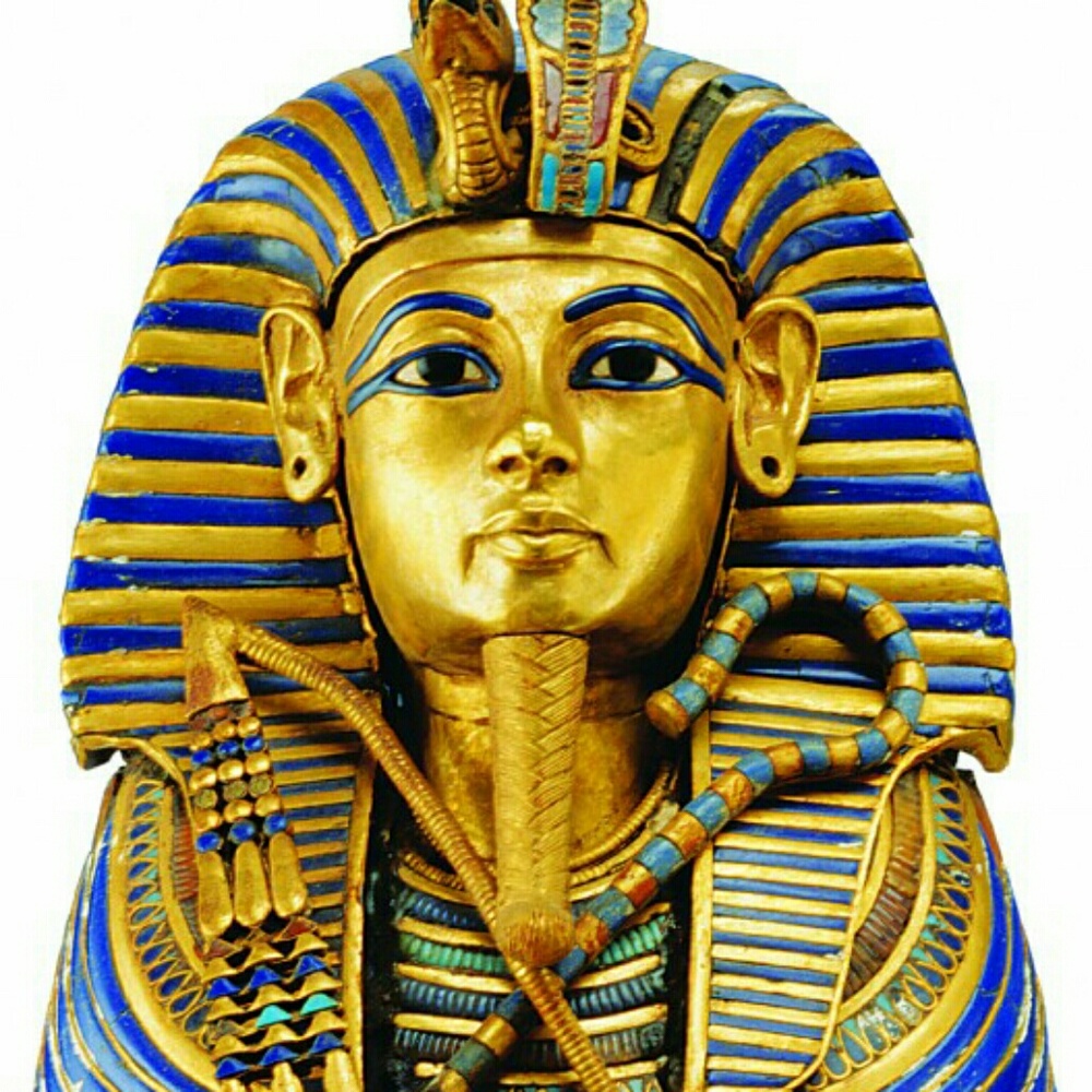 Meet your Posher, King