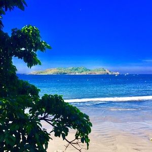 Meet your Posher, Damon