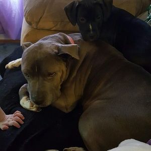 Meet your Posher, Maddie