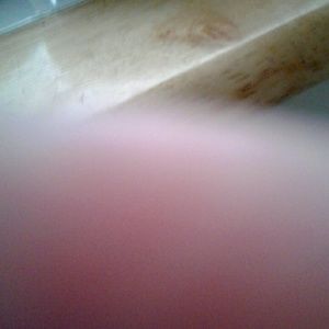 Meet your Posher, Teri