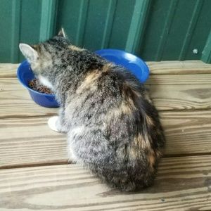 Meet your Posher, Mandy