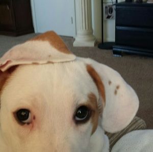 Meet your Posher, Nora