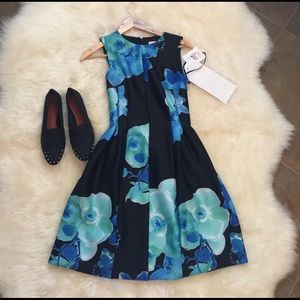 New Schutz shoes 8.5