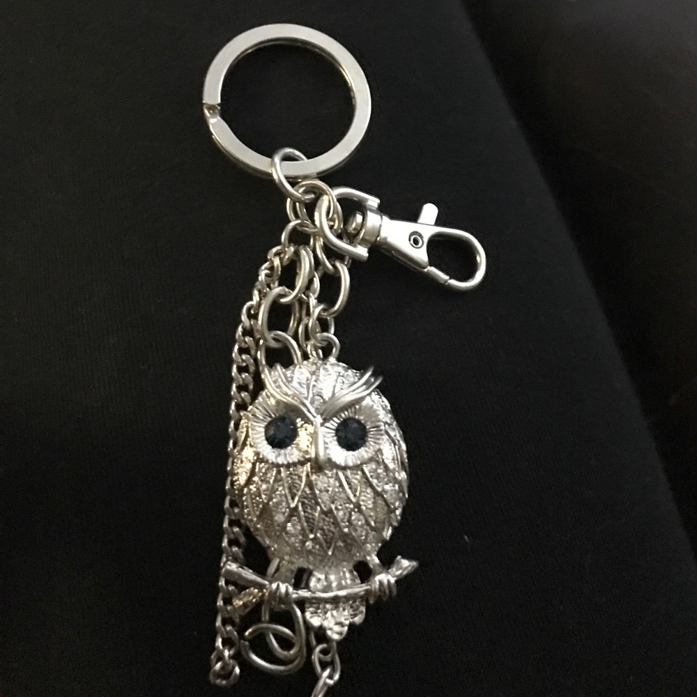 Owl key chain