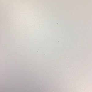 Meet your Posher, Vens