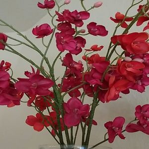 Meet your Posher, Abbey