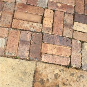 Meet your Posher, Raja