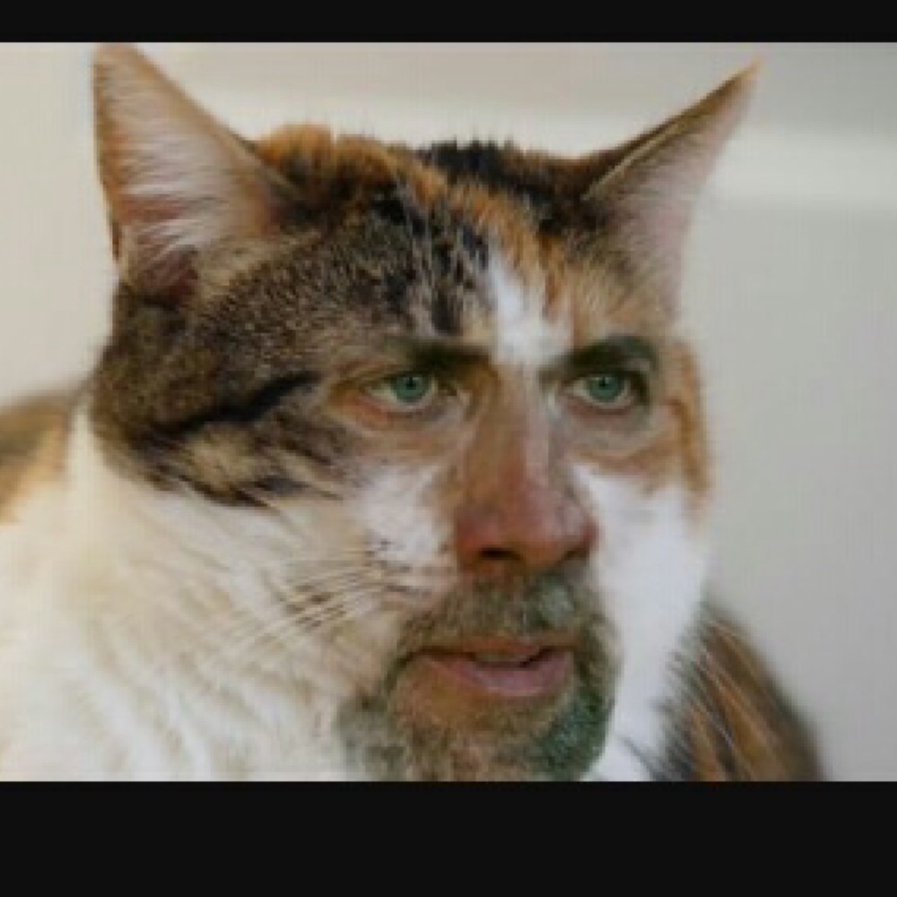 Meet your Posher, Lillian🌺