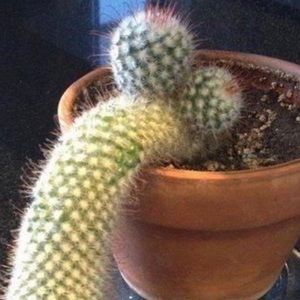 Meet your Posher, Josh