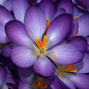 Meet your Posher, Lynn