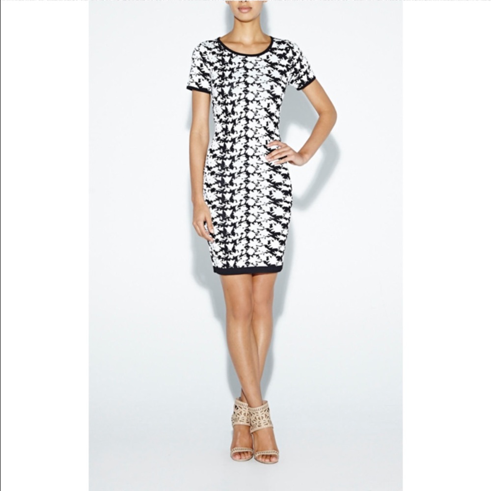 Nicole Miller Artelier Knit Dress (NWOT)