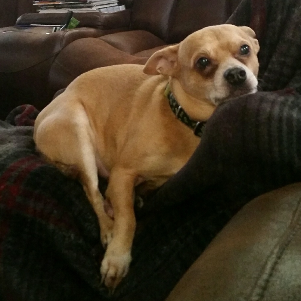 Meet your Posher, Sherri