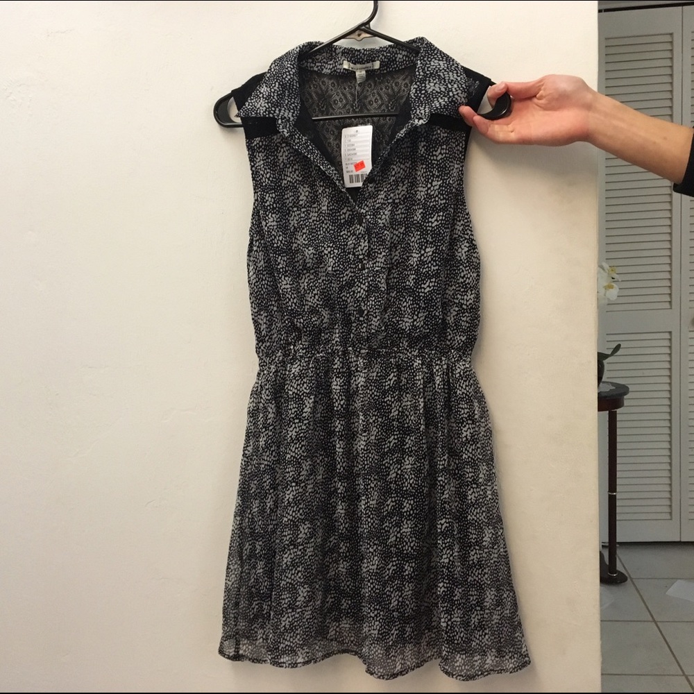 Medium dress, new with tags!
