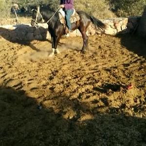 Meet your Posher, Abel