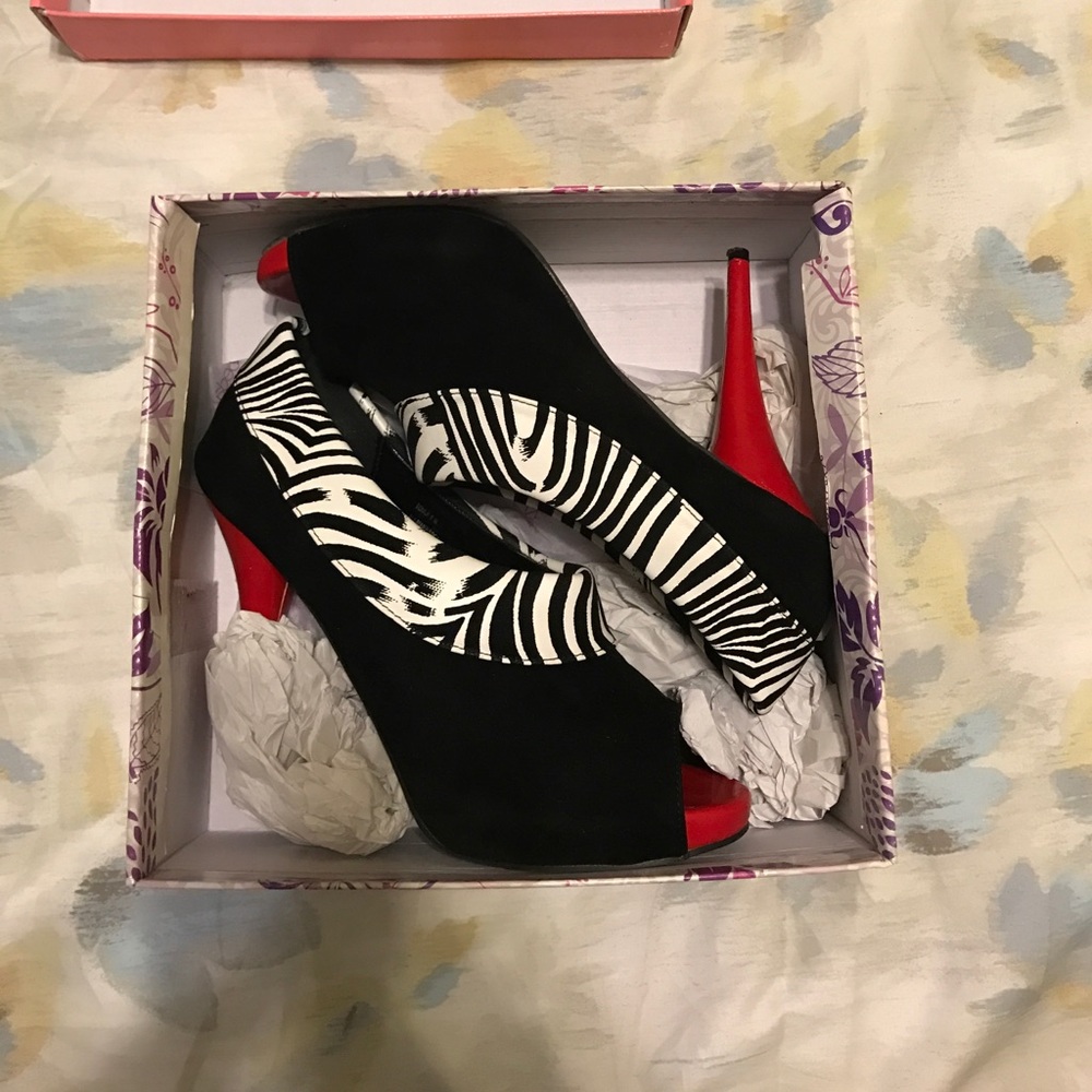Zebra