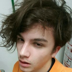 Meet your Posher, Dante