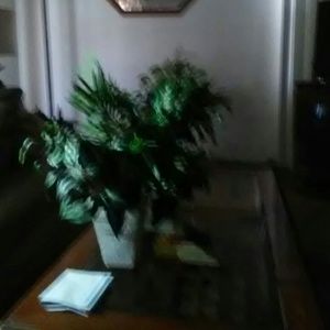 Meet your Posher, Marilyn