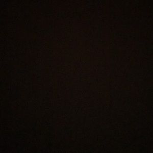 Meet your Posher, Troy