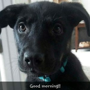 Meet your Posher, Shayna