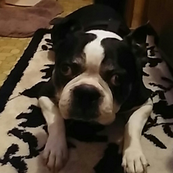 Meet your Posher, Kimberly - Picture 2 of 2