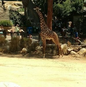 Meet your Posher, Candice