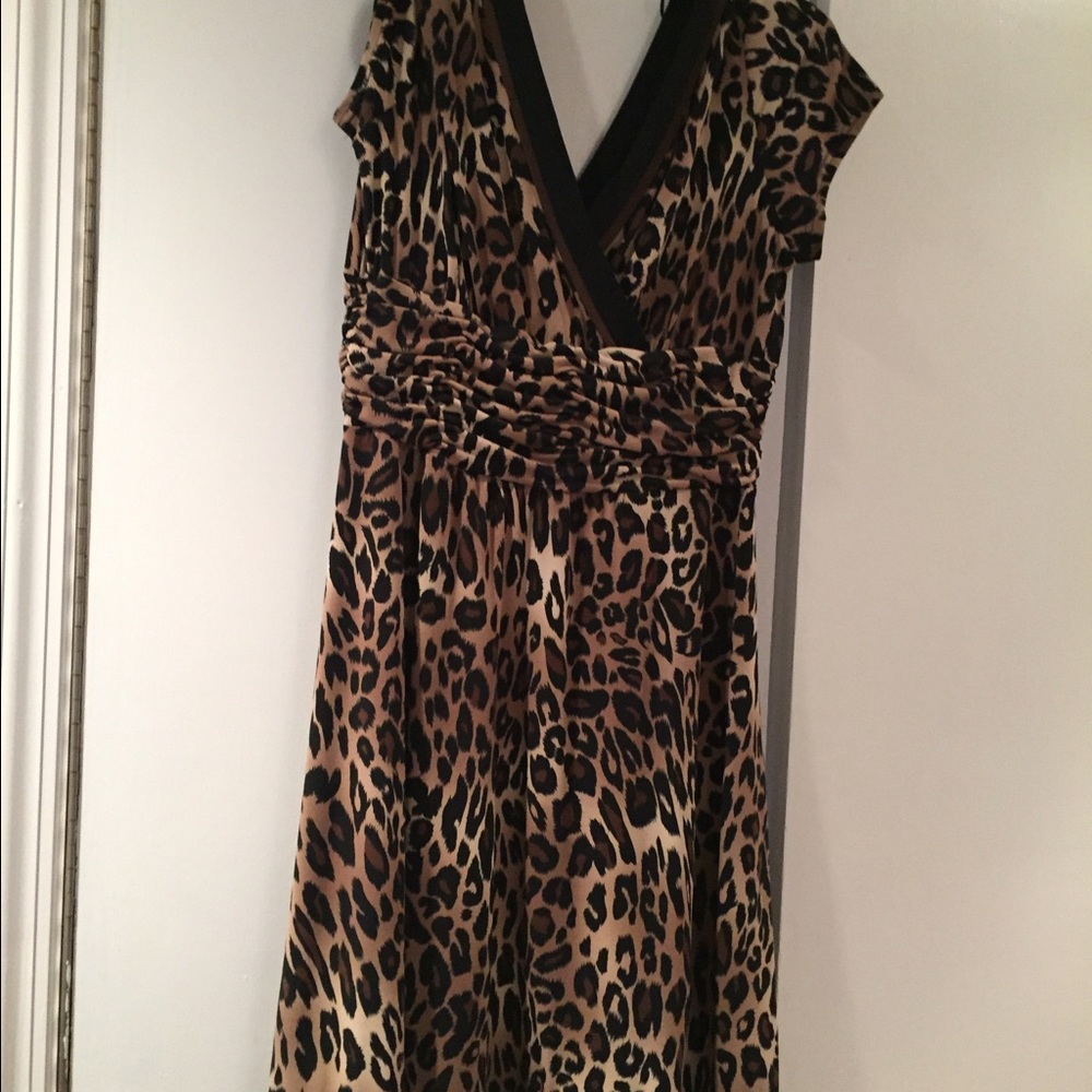 Animal Print Dress.