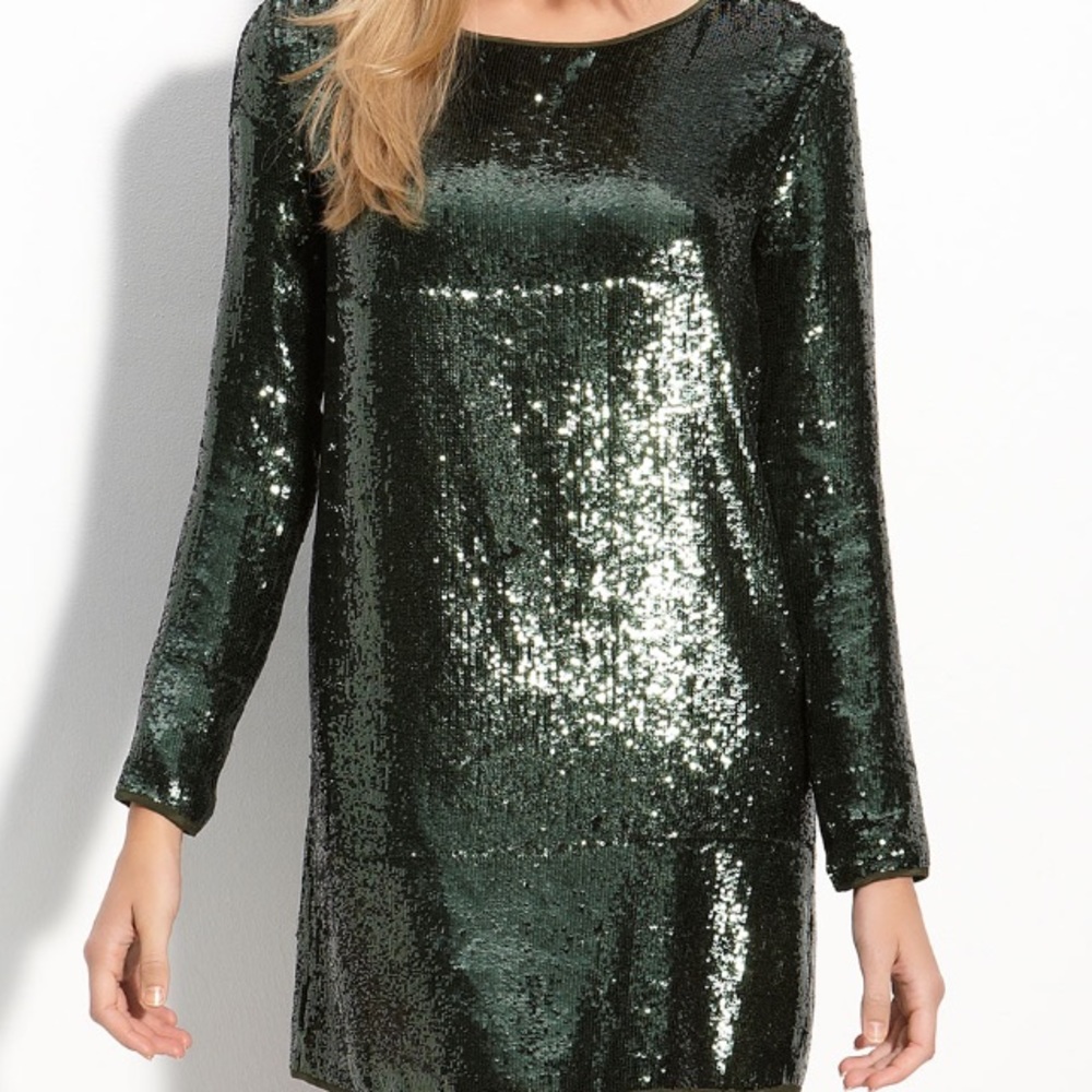 Haute Hippie Sequin Dress