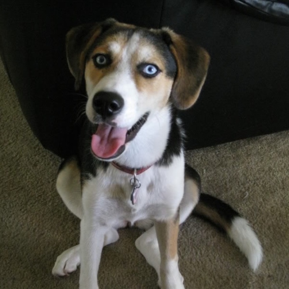 Meet your Posher, Bryan