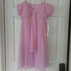 Basix silk dress