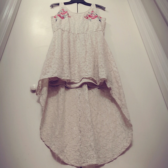 Lace Embroidered Dress - Picture 3 of 4