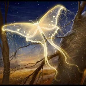 Meet your Posher, Trish