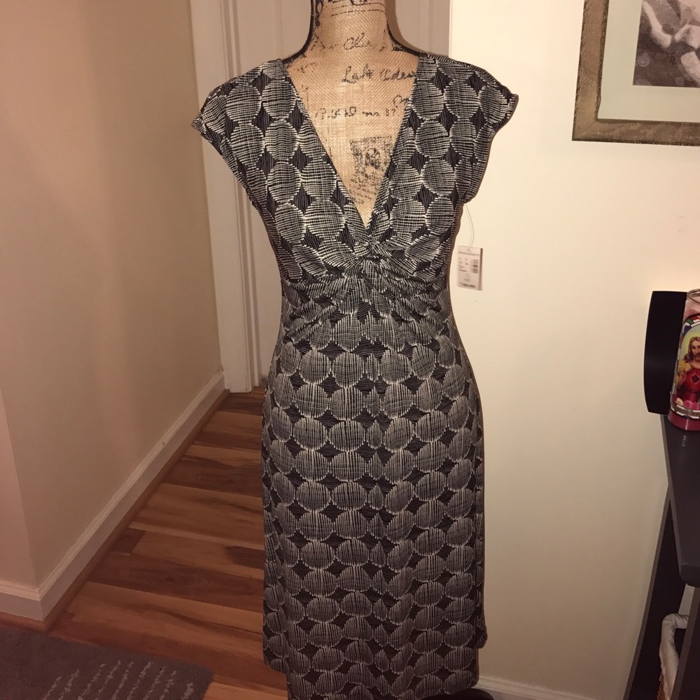 NWT Dress Barn Dress