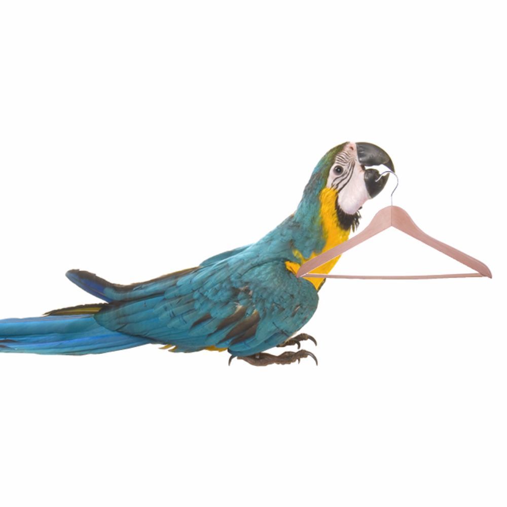 Meet your Posher, Gina