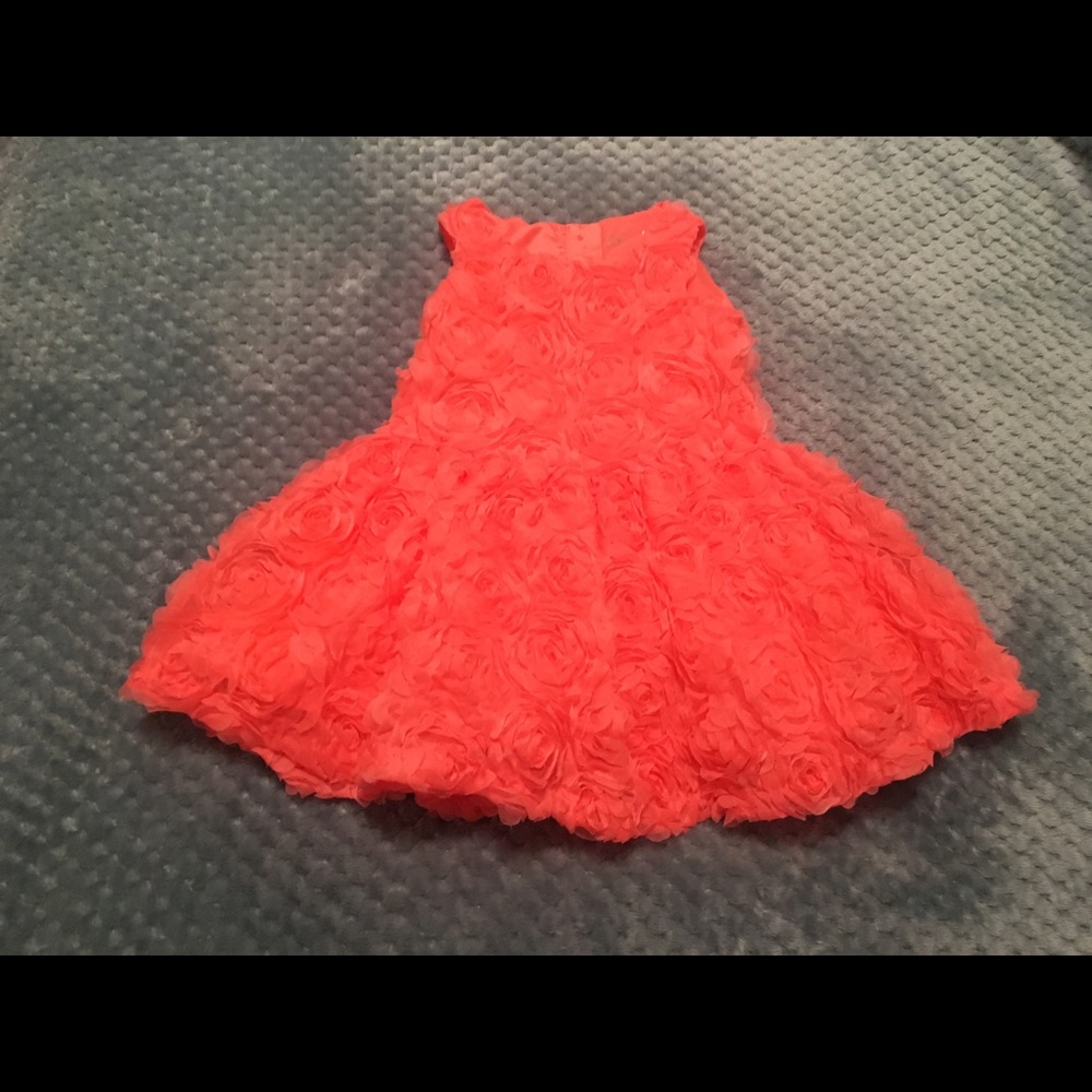 Toddler girls ruffle flower dress-- 2T