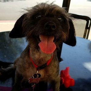 Meet your Posher, Marybeth