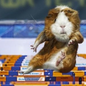 Meet your Posher, Kaylan