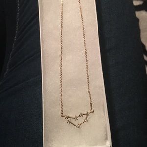 Capricorn necklace