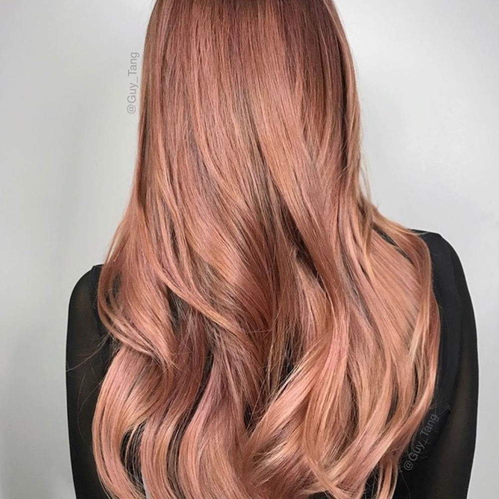 Meet your Posher, Suzi