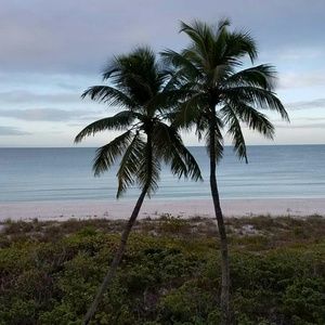 Meet your Posher, Janna