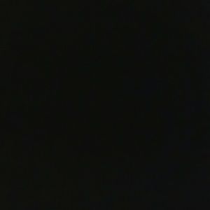 Meet your Posher, Rodney