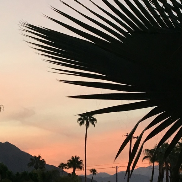 Meet your Posher, Bob - Picture 1 of 1