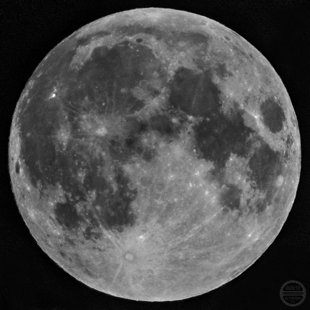 Meet your Posher, Payton