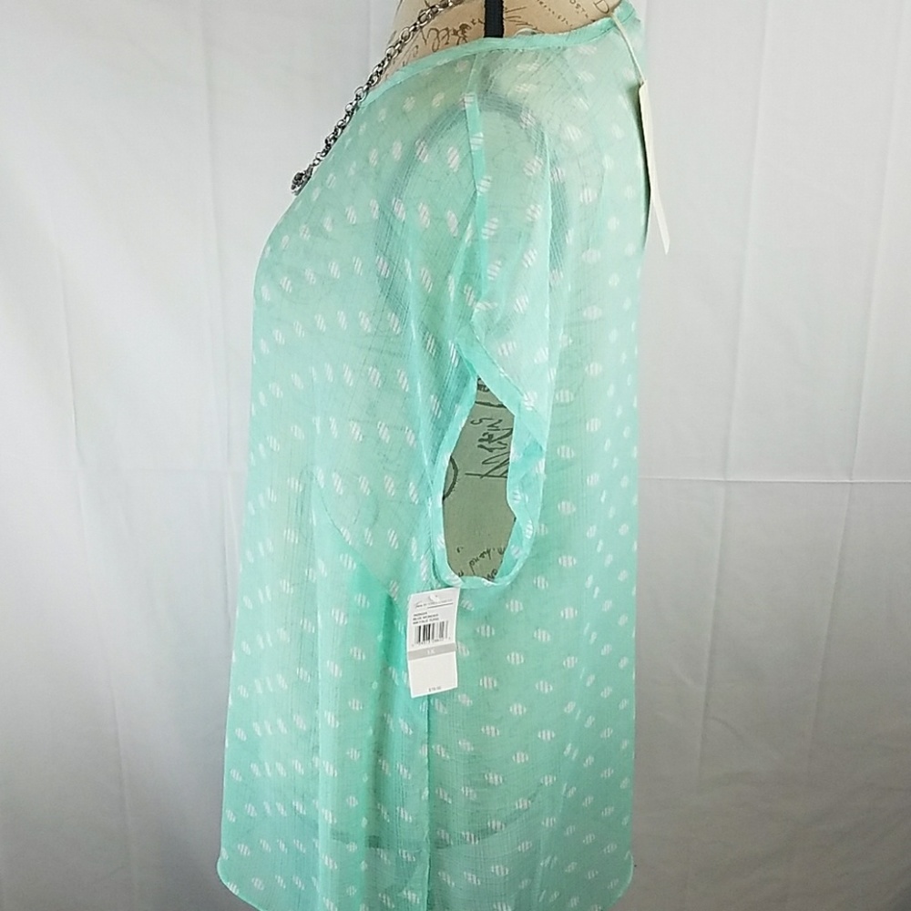 Sheer Top - Picture 3 of 5