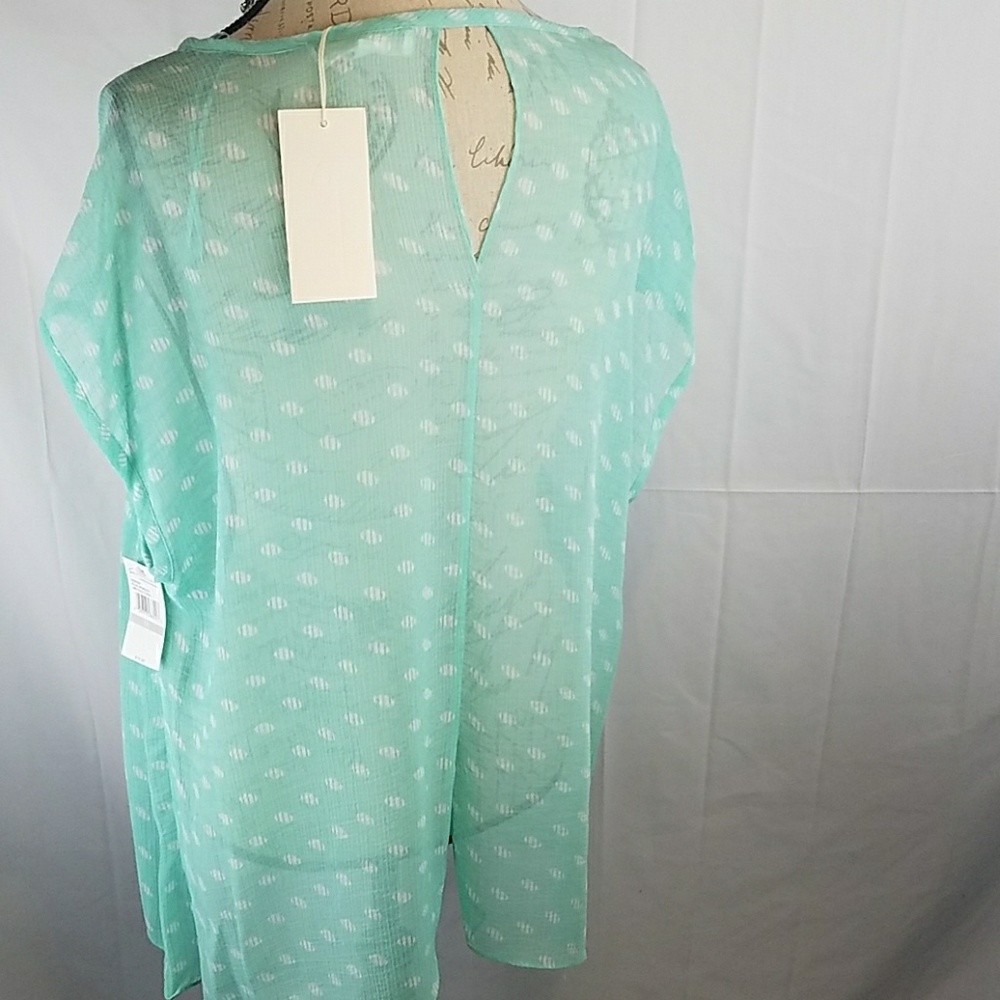 Sheer Top - Picture 4 of 5