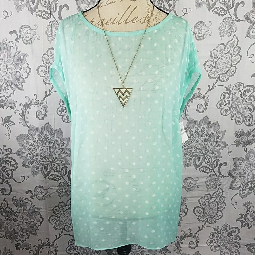 Sheer Top