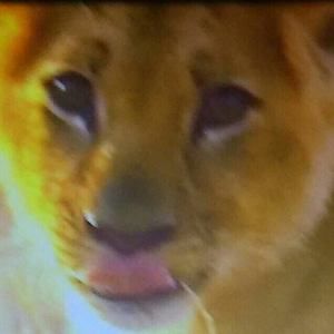 Meet your Posher, Wanda