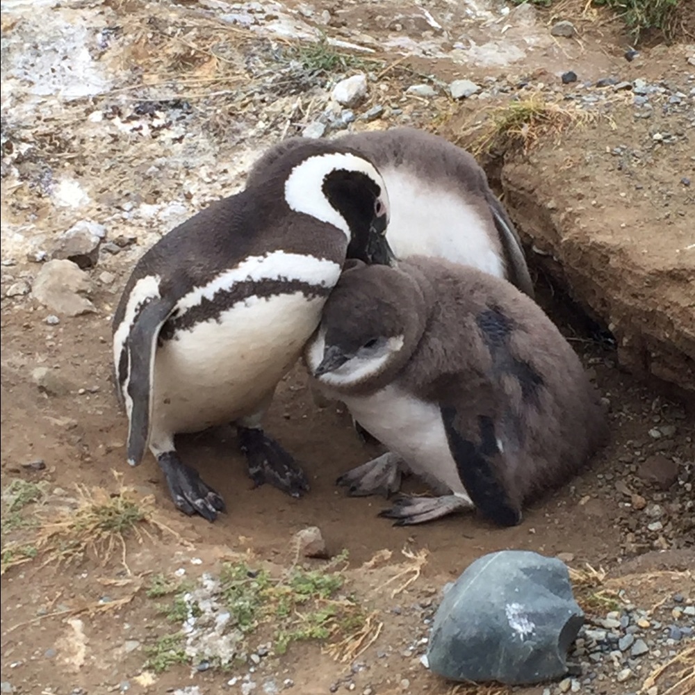 Meet your Posher, Susanna