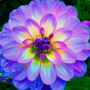 Meet your Posher, April