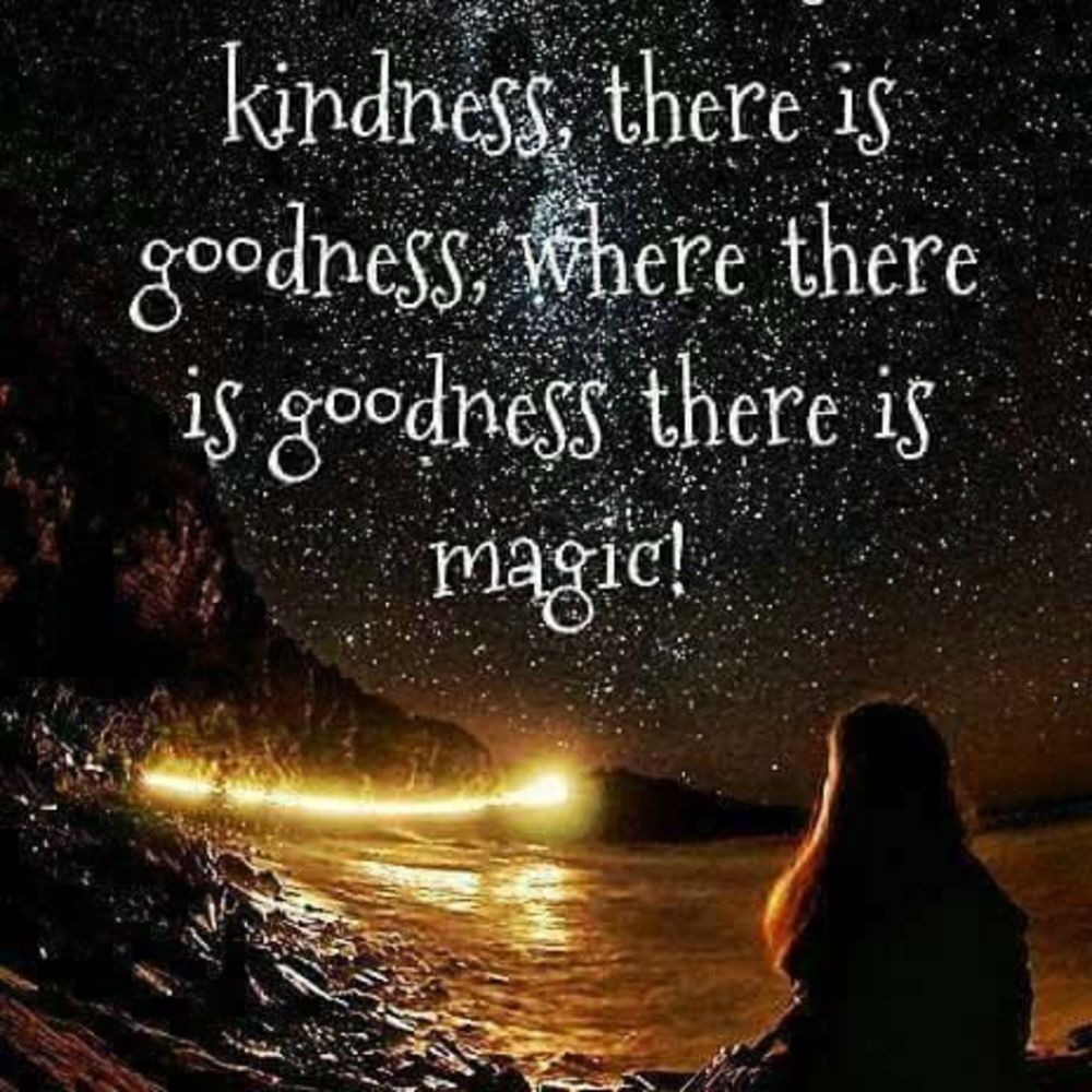 Meet your Posher, Nickie