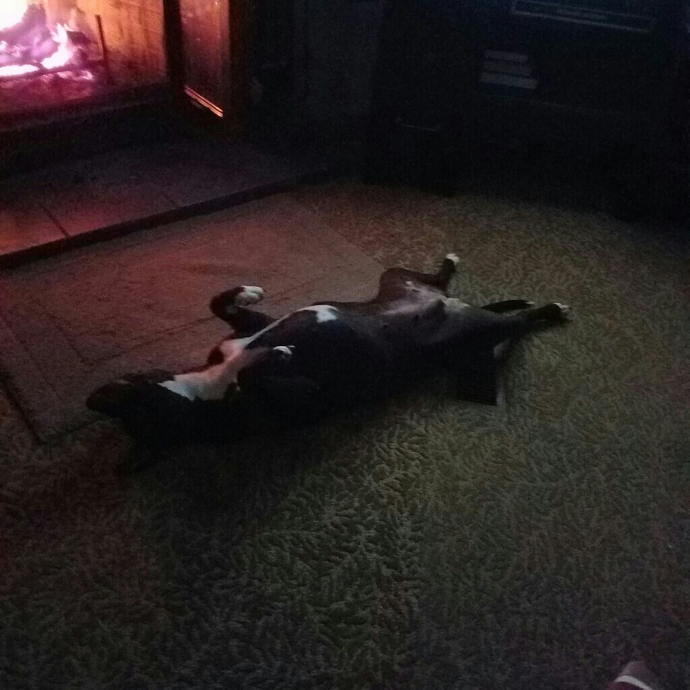 Meet your Posher, G.l.